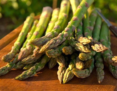 Grilled Asparagus with Orange Gremolata by Debra Ponzek